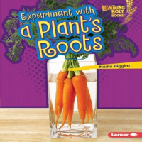 Experiment_with_a_plant_s_roots